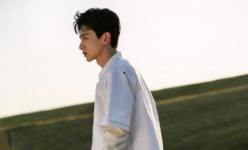 白敬亭白月光娱乐圈吃瓜,白敬亭白月光娱乐圈瓜料大揭秘 第2张 白敬亭白月光娱乐圈吃瓜,白敬亭白月光娱乐圈瓜料大揭秘 第2张